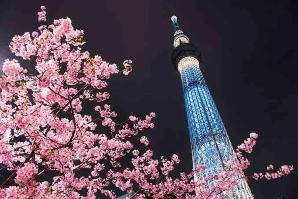 Luna House Asakusa Tokyo Skytree